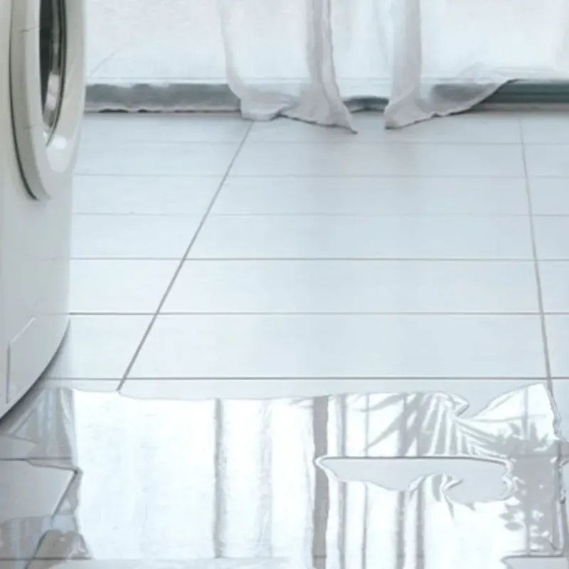 Appliance Leak Cleanup in Whitman, MA