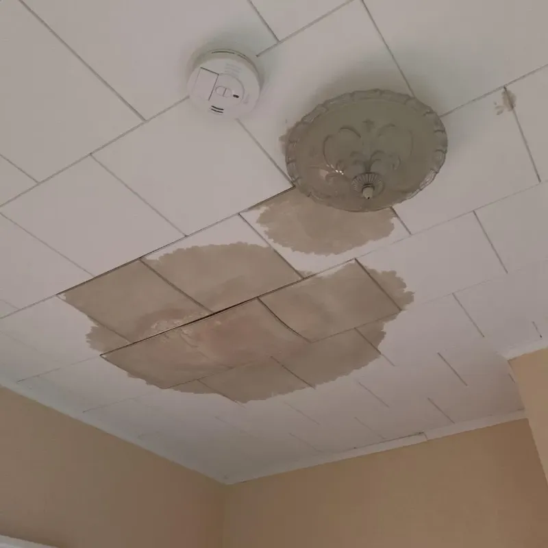 Ceiling Water Damage Repair in Whitman, MA