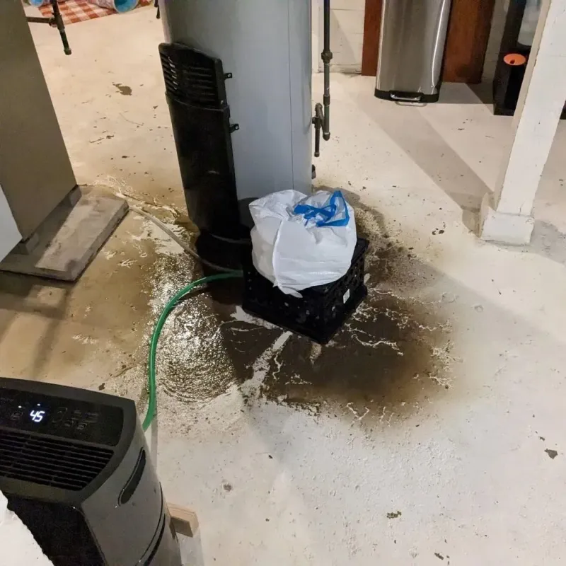 Sewage Backup Cleanup Service in Whitman, MA